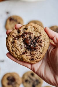 Hand holding an espresso cookie with more cookies in background.